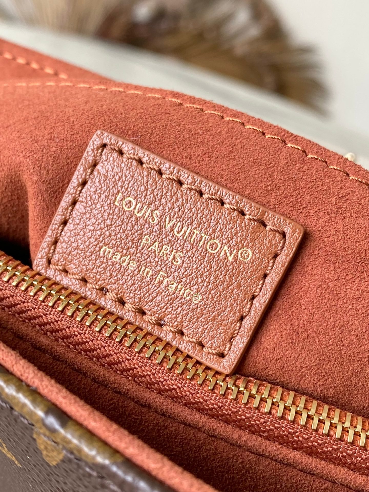 【LOUIS VUITTON】LV Bag OG - 图片 10