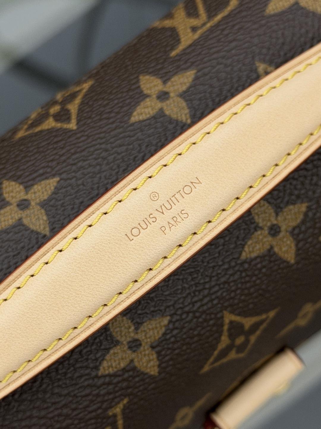 LV Bag OG - 图片 6