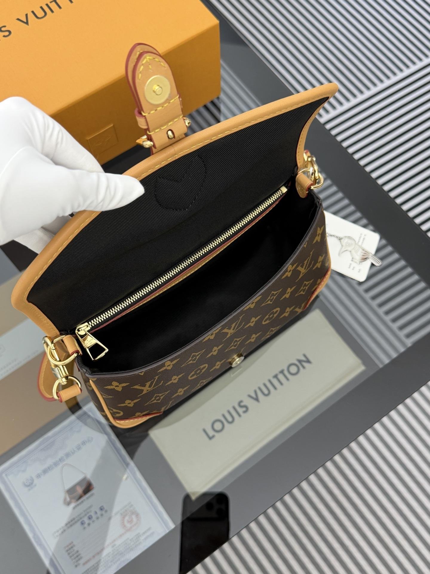 LV Bag OG - 图片 8