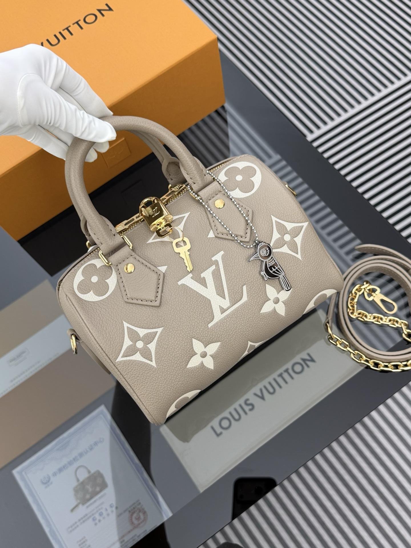 LV Bag OG