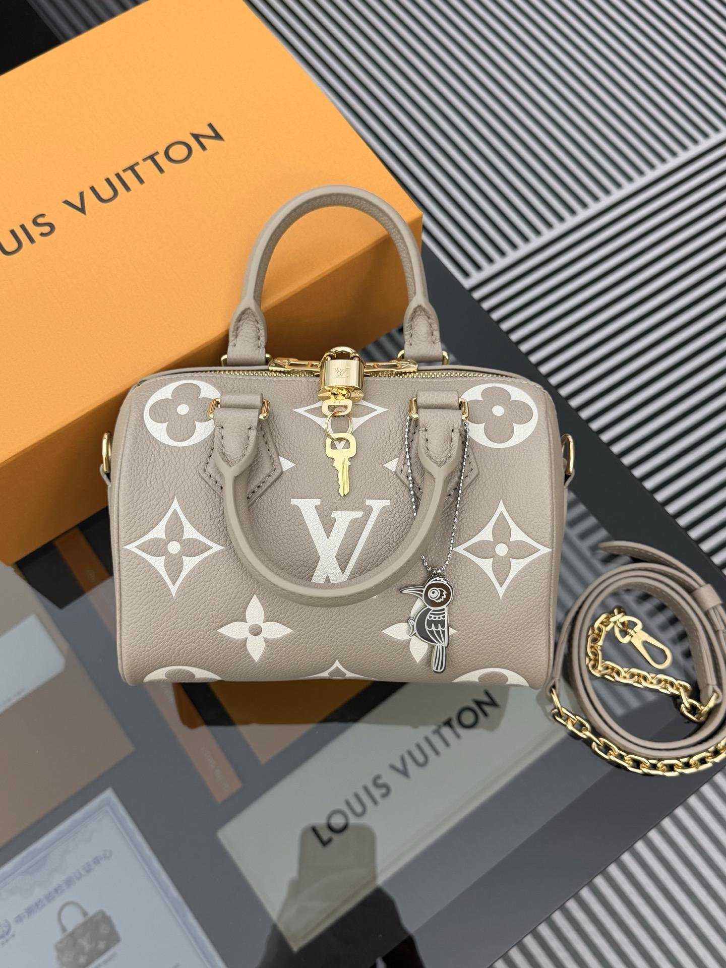LV Bag OG - 图片 5