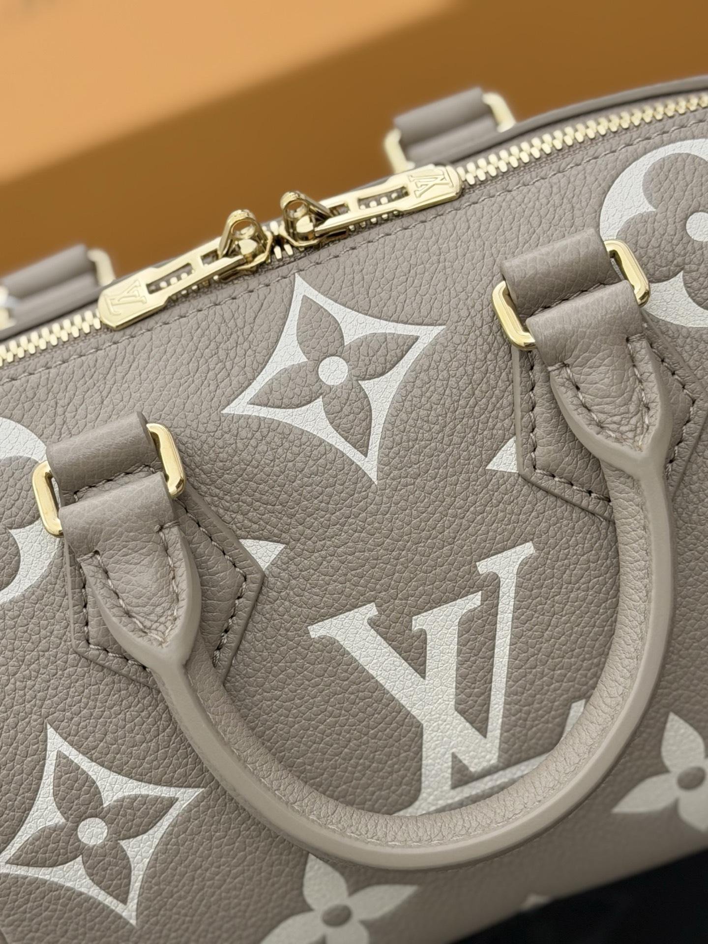LV Bag OG - 图片 7