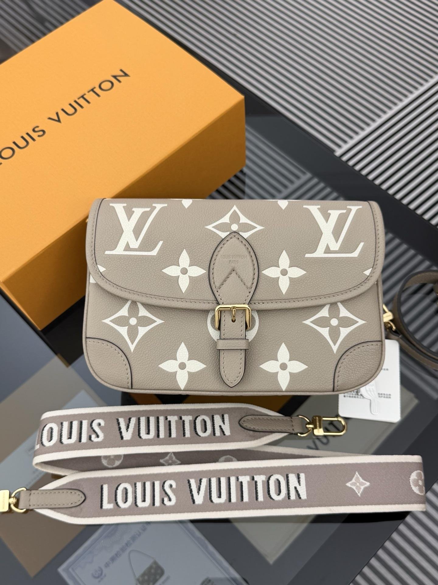 LV Bag OG - 图片 6