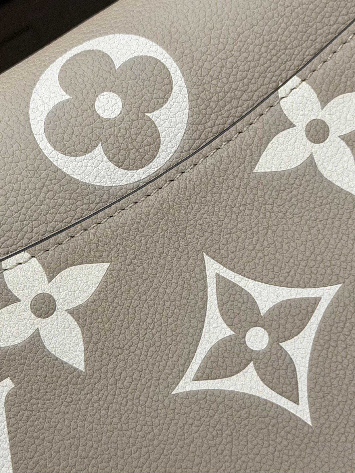 LV Bag OG - 图片 7