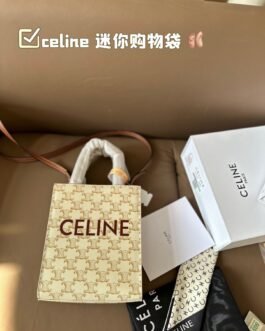 Celine Bag 1:1