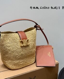 Celine Bag 1:1