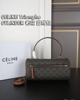Celine Bag 1:1