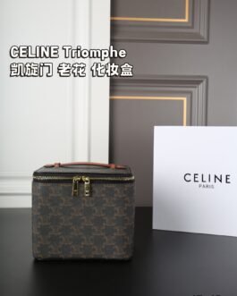 Celine Bag 1:1