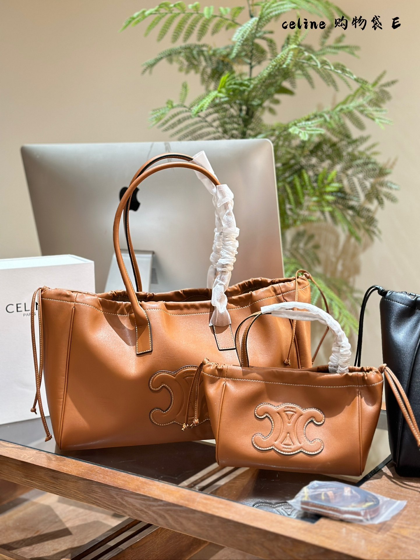 Celine Bag 1:1