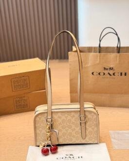 Coach Bag 1:1