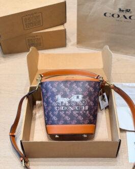 Coach Bag 1:1