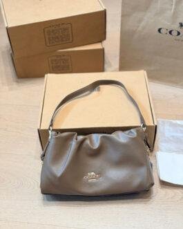 Coach Bag 1:1