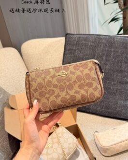 Coach Bag 1:1