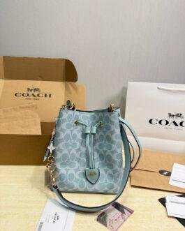 Coach Bag 1:1