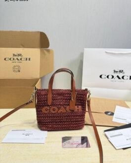 Coach Bag 1:1