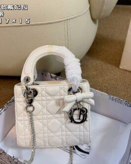 Dior Bag 1:1