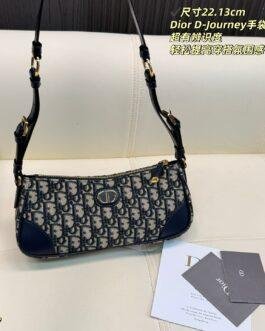 Dior Bag 1:1