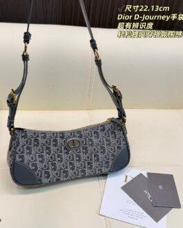 Dior Bag 1:1
