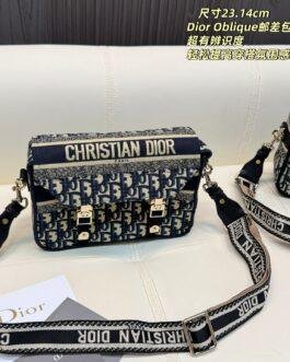 Dior Bag 1:1
