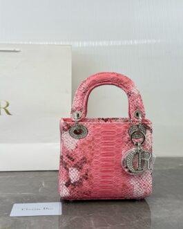 Dior Bag 1:1