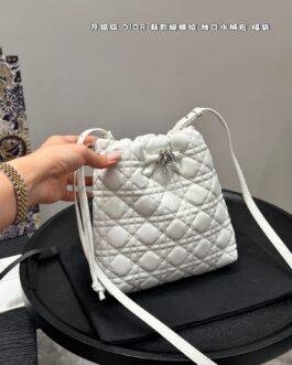 Dior Bag 1:1