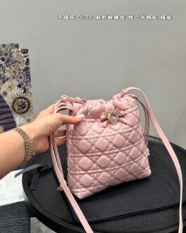 Dior Bag 1:1