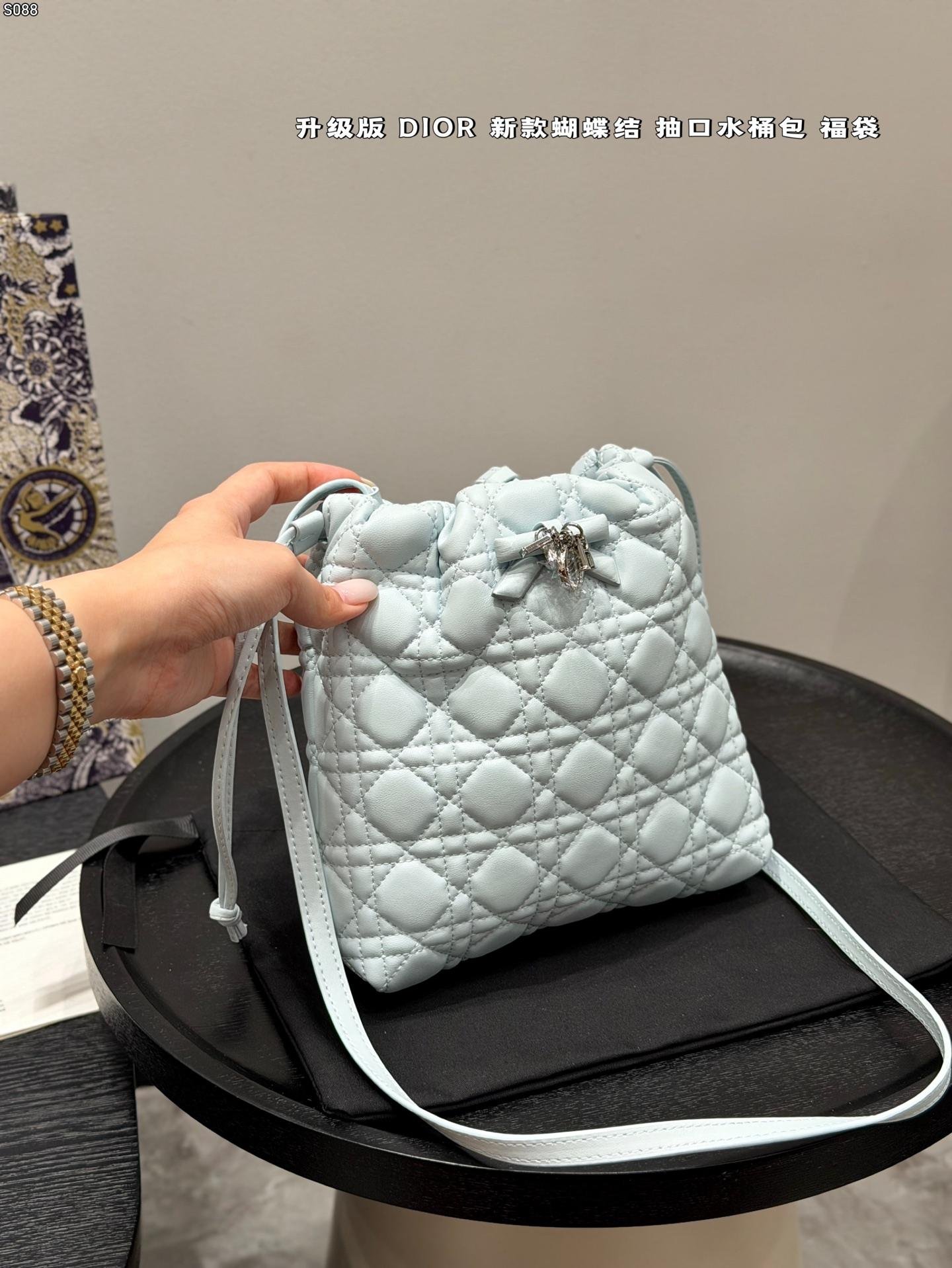 Dior Bag 1:1