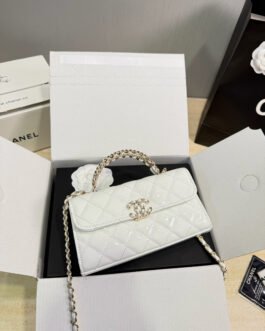 Chanel Bag 1:1